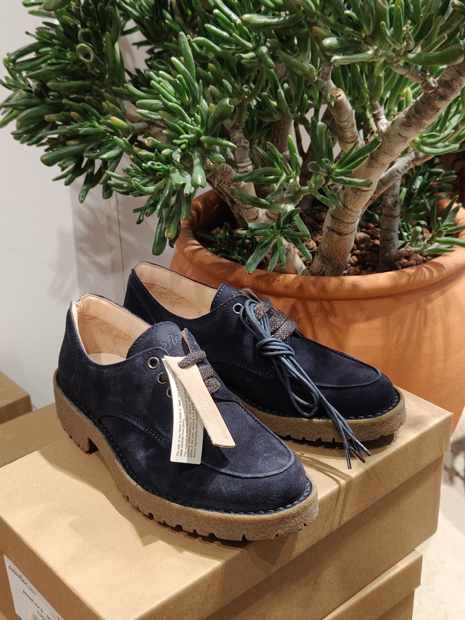 Astorflex Daliflex Derby Donna